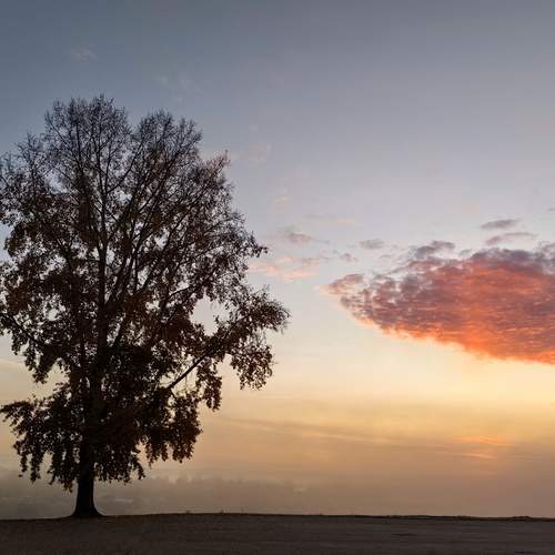 Photo #13487874