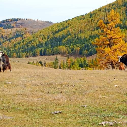 Photo #13487936