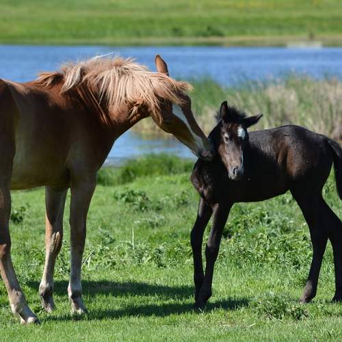 Photo #13487939