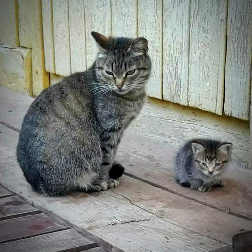 Photo #13488171