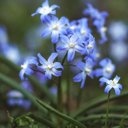 Photo #13488333