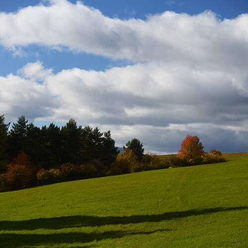 Photo #13488381