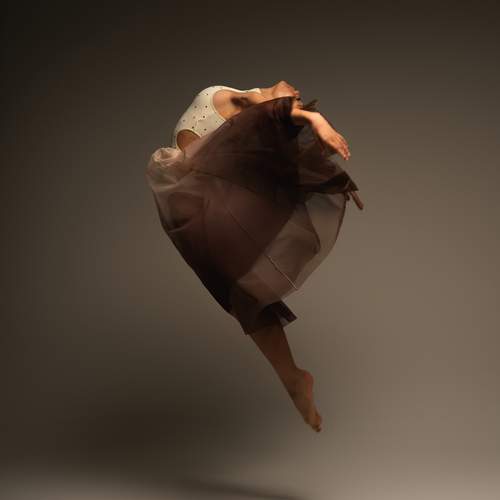 Photo #13488594