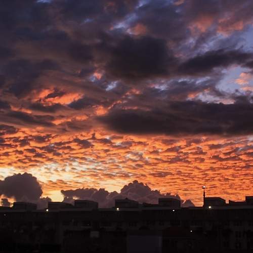 Photo #13488677
