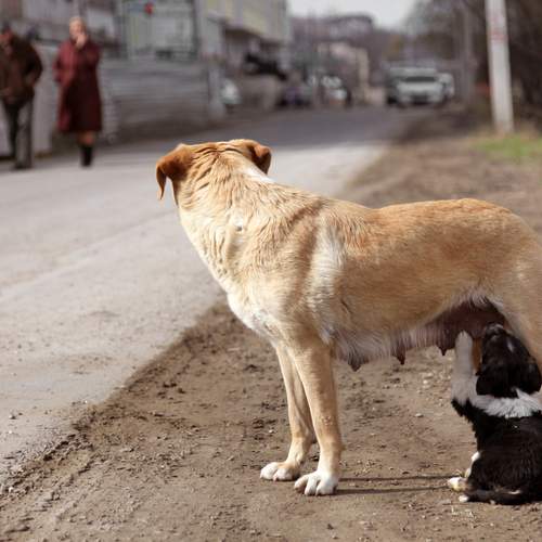Photo #13488692