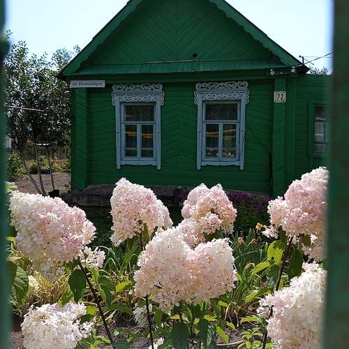 Через щëлочку в заборе