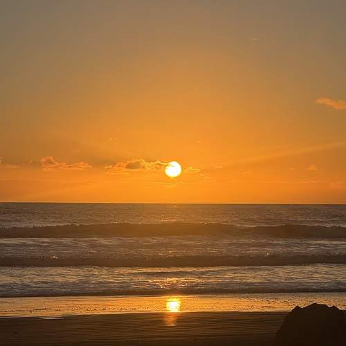 Photo #13488740