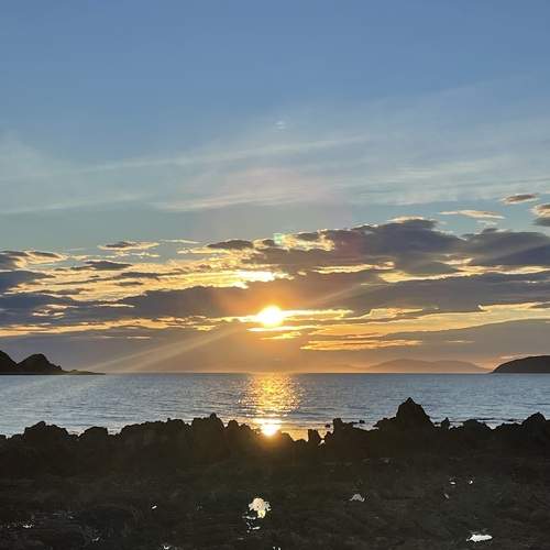 Photo #13488742