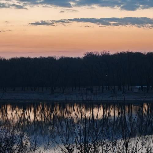 Photo #13488828