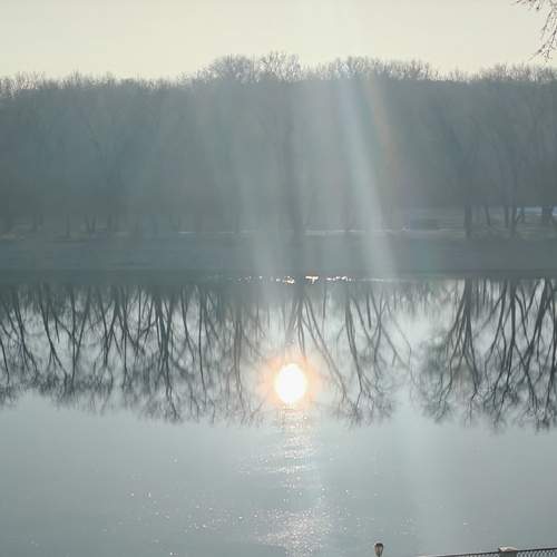 Photo #13488835
