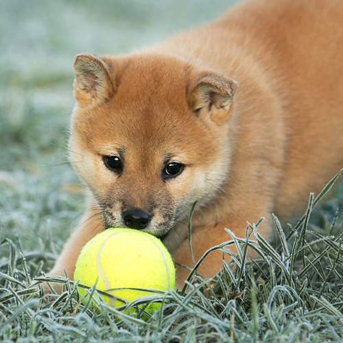 Photo #13489409