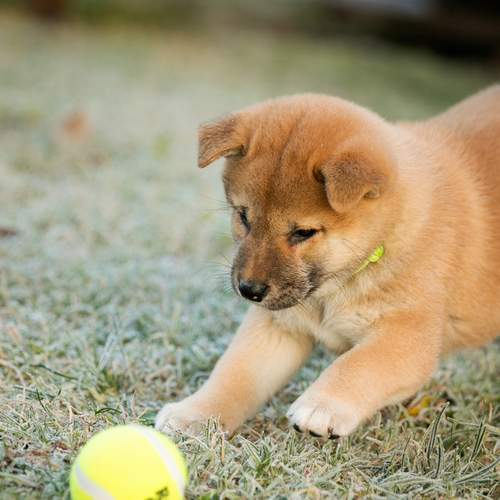 Photo #13489410