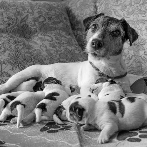 Фотография #13489466