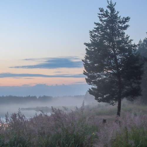 Photo #13489517