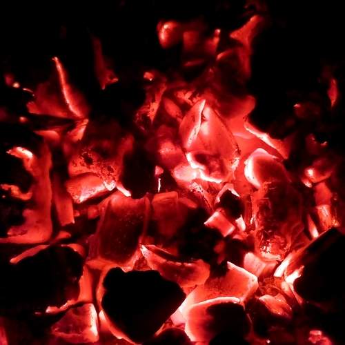 Photo #13489605