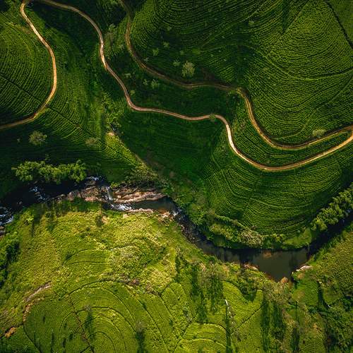 Lines of the land