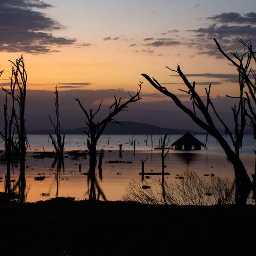 Photo #13490095
