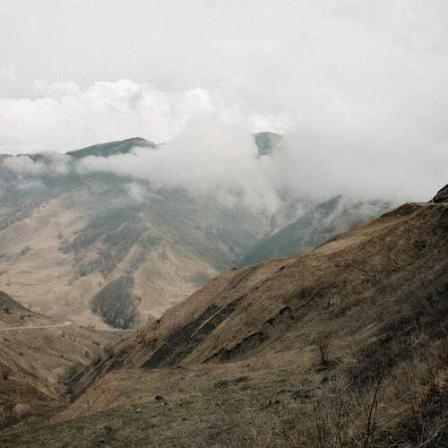Photo #13490248