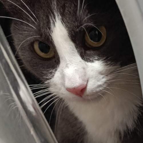 Photo #13490330