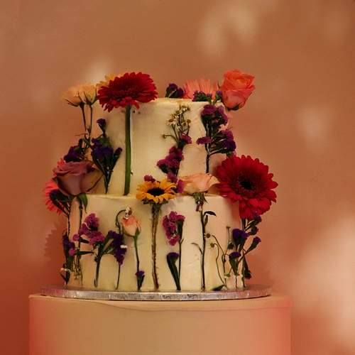 Photo #13490463