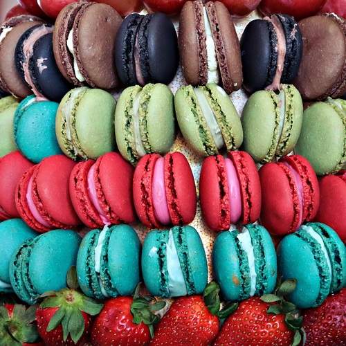 Photo #13490550