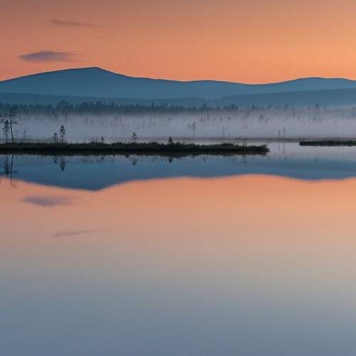 Photo #13490651
