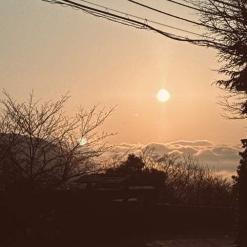 Photo #13491035
