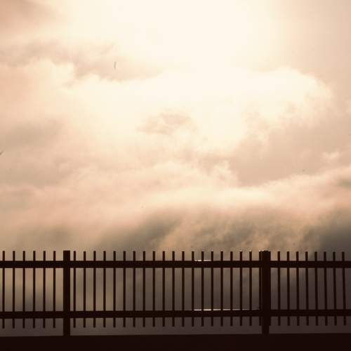 Photo #13491042