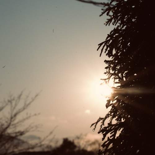 Photo #13491046