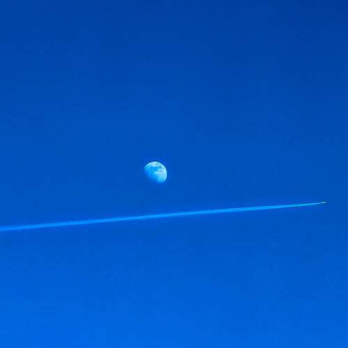 Photo #13491119