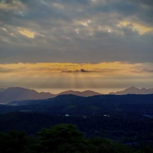 Photo #13491239