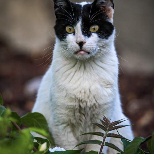 Photo #13491289