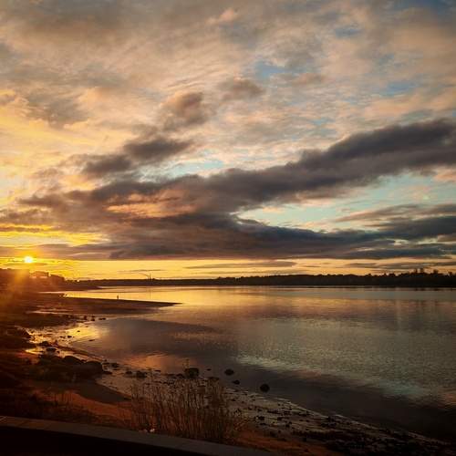 Photo #13491310
