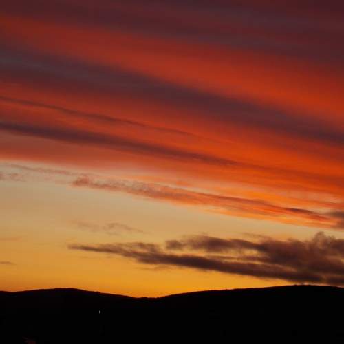 Photo #13491845