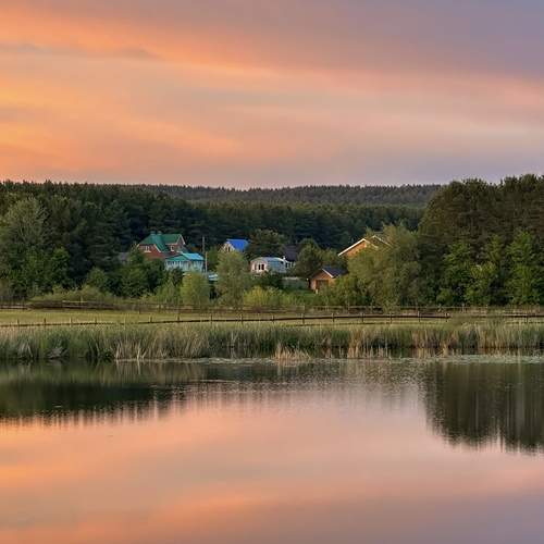 Photo #13492022