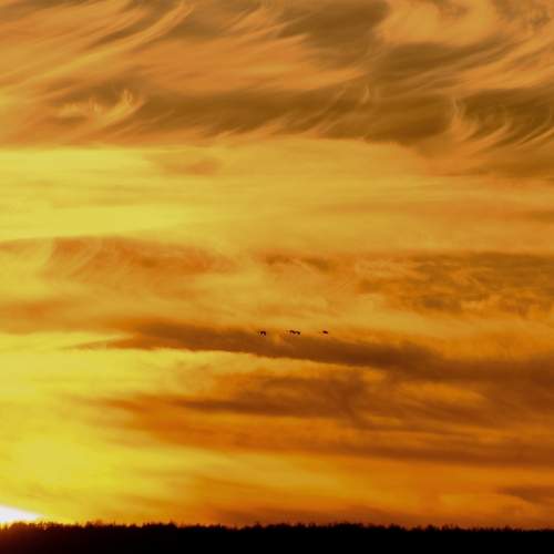 Photo #13492068