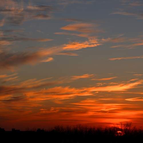 Photo #13492075
