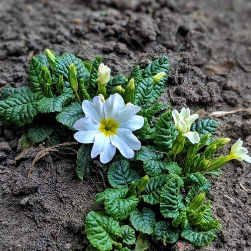 Photo #13492221