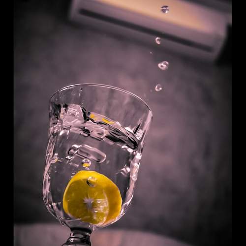 Photo #13492260