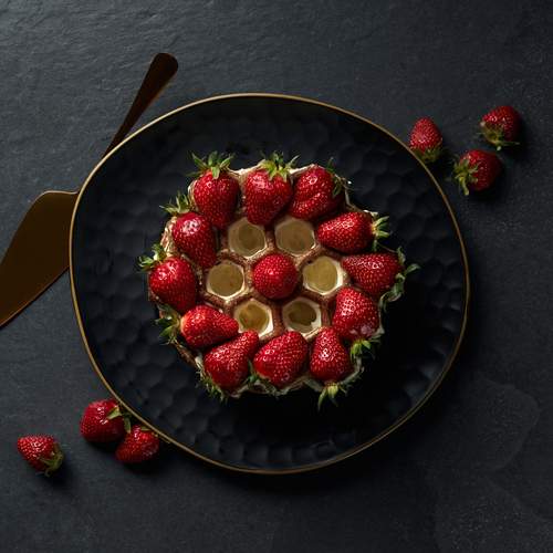 Photo #13492308