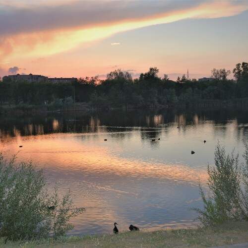 Photo #13492550