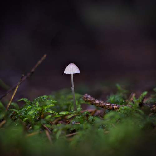 Photo #13492618