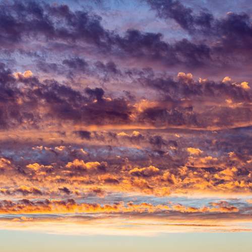 Photo #13492631