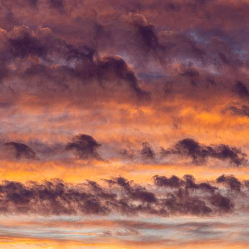 Photo #13492634
