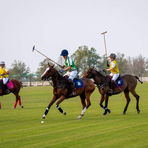 Photo #13492727