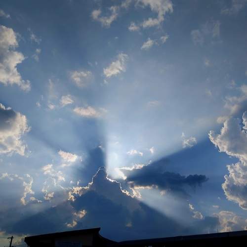 Photo #13492783