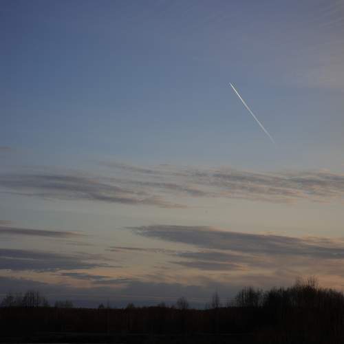 Photo #13492810