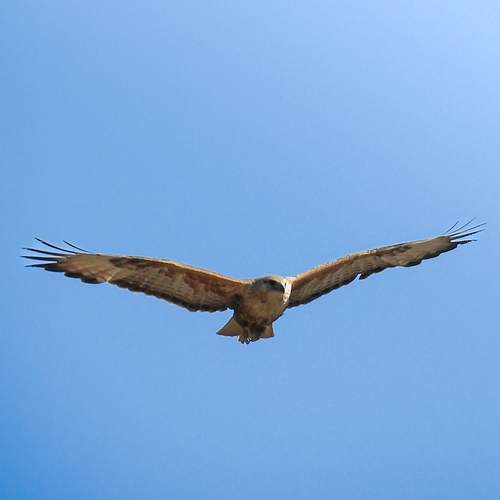 Photo #13492811