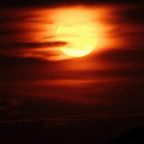 Photo #13492913