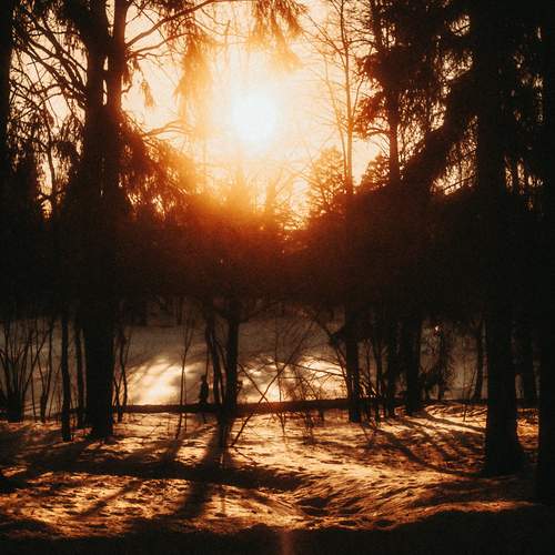 Photo #13492914